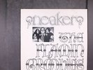 FLAMIN' GROOVIES: sneakers A SNAZZ 10