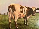 Atom Heart Mother LP Record Vinyl Pink Floyd Harvest 382 VG+
