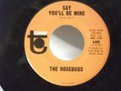 The Rosebuds,Tower 105,