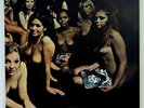 1973 JIMI HENDRIX Album ELECTRIC LADYLAND Vinyl BANNED UK COVER Lp OG NEAR MINT