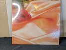 The Isley Brothers Between The Sheets FZ 38674 Stereo 1983 W Shrink Wrap Still