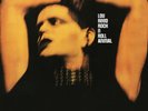 Rock N Roll Animal by Reed, Lou (Record, 2017)