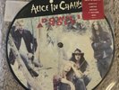 Alice In Chains Down In A Hole Limited Edition Picture Disc