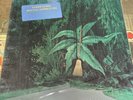Gabor Szabo-Magical Connection-1970 Blue Thumb Jazz LP-SEALED w/Hype Stickers