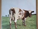 Pink Floyd Atom Heart Mother Vinyl LP UK 1970 1st Pressing Locked Groove EX/VG