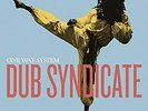 Dub Syndicate - One Way System - Used Vinyl Record - A5z
