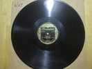 78 RPM Fess Williams and His Royal Flush Orchestra Br 3596 E