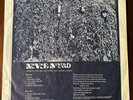 Pink Fairies  Never-Neverland 1971 Ltd. Edition First Press VG+ Record Only