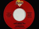 Funk Boogie/Sweet Soul 45 - Numonics - One More Try - Hodisk - VG+