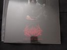 Unblessing the Purity by Bloodbath Vinyl 10