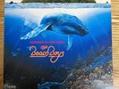 The Beach Boys - Summer In Paradise 1993 Korea Orig LP Vinyl With Insert
