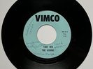 The Visions Garage Rock VIMCO Vinyl Record 45 1965 Mineral Wells Texas VG+