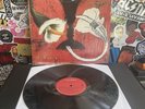 TOAD THE WET SPROCKET Dulcinea VG++ VINYL IN SHRINK