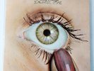 The Pretty Things Savage Eye Vinyl SSK 59401 Swan Song NM