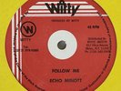 ECHO MINOTT Follow Me WITTY Murder  Digi Reggae 12