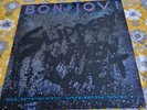 Bon Jovi - Slippery When Wet Vinyl LP with lyric inner 1986 VERH 38