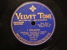JAZZ BEN SELVIN ORCH I Apologize VELVET TONE 2443  E