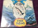 STEVE HILLAGE /FISH RISING /VIRGIN 33 Rpm/ London VG+