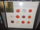 Peter Gabriel - SCRATCH MY BACK I'LL SCRATCH YOURS - 180gm VInyl 2 LP NEW SEALED