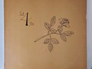 1ST PRESS Small Wood And Marshmellow Band – Just 4 You LP - PRIVATE NORTHERN...