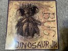 Dinosaur Jr BUG Maroon Vinyl 1988 SST 216