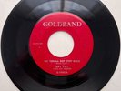 RAY VICT We Gonna Bop Stop Rock RARE ROCKABILLY 45 Goldband *hear*