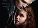 Various Artists Twilight Original Motion Picture Soundtrack (Marble Vi Vinyl NEW