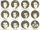 Elvis Presley Golden Memories Picture Disc X12