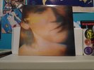GOVERNMENT ISSUE-The Fun Just Never Ends-Vinyl LP-1985 Fountain Of Youth Label