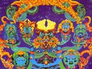 The Grateful Dead: Anthem Of The Sun 1968 Warner Bros. White Label Promo Vinyl