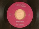 The Squires  Wonderin'/Pieces  RARE  Missouri Folk Rock, Garage 1965 CrestLine