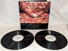 Raphael Saadiq INSTANT VINTAGE promo 2X LP gospel-delic FUNK gatefold 2002