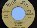 Wildfire 