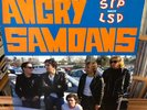 ANGRY SAMOANS STP NOT LSD PUNK HARDCORE PVC RECORDS ORIG