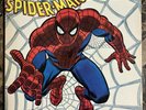 AMAZING SPIDERMAN ROCKOMIC RECORD WITH Pullout Poster  Art By John Romita  1972