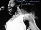 Teddy Pendergra John Morales Presents: Teddy Pendergrass: The Voice - Re (Vinyl)