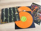 TYPE O NEGATIVE October Rust Vinyl LP D2C Voodoo Edition **RAR** MINT Carnivore