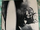 UNKLE ‎– Never, Never, Land - 3 × Vinyl, LP, Album, Picture Disc, LimitedEdition