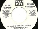 Jamal Trice - If Love Is Not The Answer (7