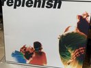 Reef Replenish Vinyl - 1995 Original Press - Cat 480698