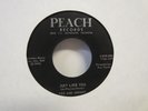 Ted And Johnny Just Like You / Teenage Party Rockabilly 7