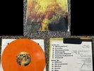 RARE  311 Grassroots - Limited Edition SUNBURST Vinyl - x/500 Copies - ETR013
