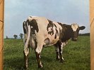 Pink Floyd Atom Heart Mother Lp Uk 1st Press  [Ex/Ex] sweeet....No EMI***