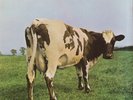 Pink Floyd - Atom Heart Mother (Vinyl LP - DE)
