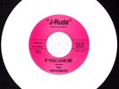 RARE DOO WOP / SOUL 45- The Informers - If You Love Me J Rude White Wax REPRO