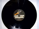 She Wants Revenge - S/T - Vinyl LP Record - TEST PRESSING