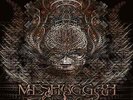 Meshuggah | Red Vinyl LP | Koloss | Atomic Fire
