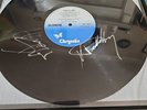 blondie parallel lines signed framed record see Description