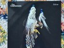 The Courteeners 'Falcon' White Vinyl RSD