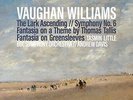 Vaughan Williams: The Lark Ascending, Symphony No. 6 & Fantasia on a Theme by Th